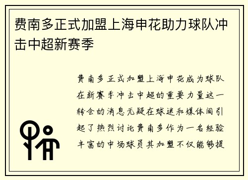 费南多正式加盟上海申花助力球队冲击中超新赛季