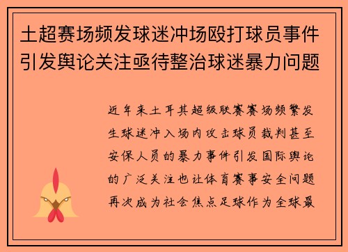 土超赛场频发球迷冲场殴打球员事件引发舆论关注亟待整治球迷暴力问题